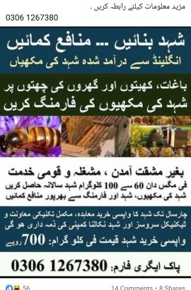 شھد کا اپنا کاروبار ۔۔۔۔